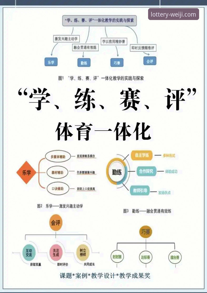 维基体育互动平台：资深用户分享从新手到老手的实战经验与创新玩法